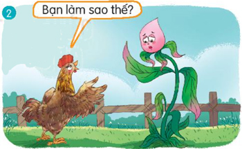 Bài 7: Mặt trời xanh của tôi - Nói và nghe