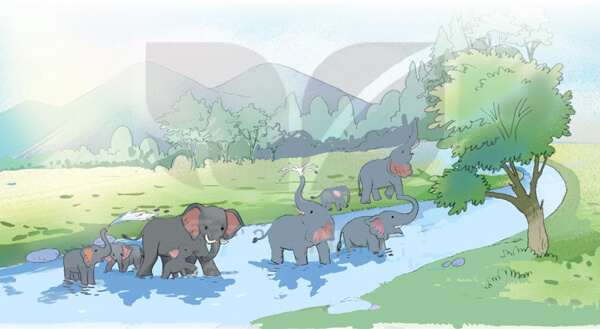 Bài 8: Bầy voi rừng Trường Sơn - Đọc