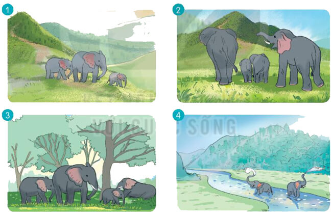 Bài 8: Bầy voi rừng Trường Sơn - Đọc