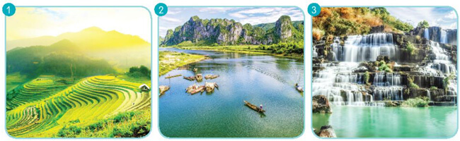 Bài 8: Bầy voi rừng Trường Sơn - Luyện tập