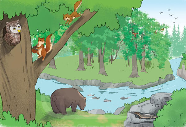 Bài 8: Bầy voi rừng Trường Sơn - Luyện tập