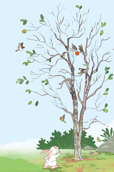 Bài 10: Quả hồng của thỏ con - Đọc