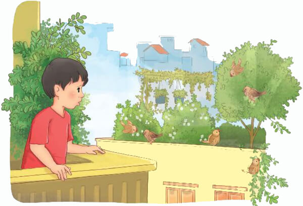 Bài 11: Chuyện bên cửa sổ - Đọc