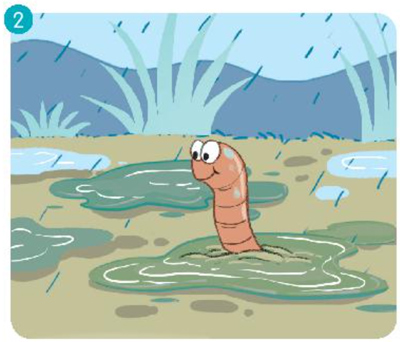 Bài 15: Ngày như thế nào là đẹp? - Nói và nghe