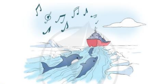 Đàn cá heo và bản nhạc trang 111 Tiếng Việt lớp 3 Tập 1 | Cánh diều