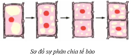Bài 5: Phép tính lũy thừa với số mũ tự nhiên