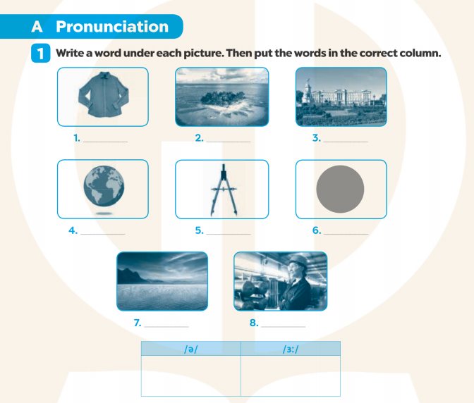 Giải SBT Tiếng Anh 7 Global Success Unit 1 Pronunciation