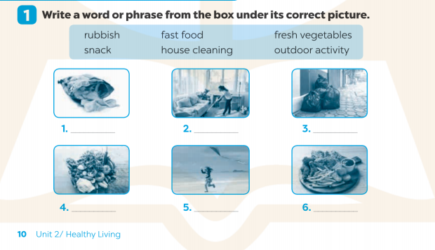 Giải SBT Tiếng Anh 7 Global Success Unit 2 Vocabulary & Grammar