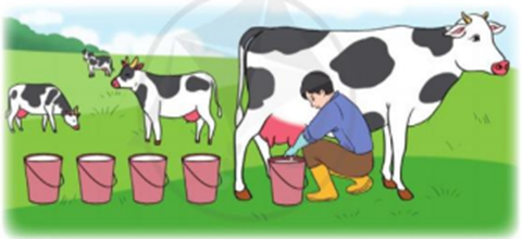 Toán lớp 3 trang 63, 64 Em ôn lại những gì đã học | Cánh diều (ảnh 1)