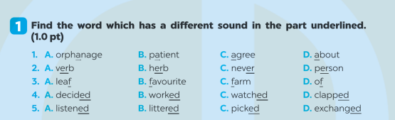 Giải SBT Tiếng Anh 7 Global Success Test Yourself 1