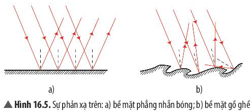 Câu 4 trang 84 Khoa học tự nhiên 7 CTST