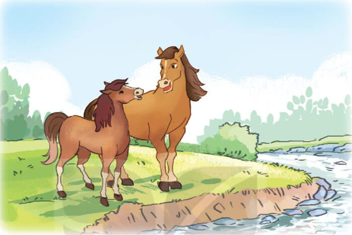 Ôn tập và đánh giá cuối học kì 2 - Đề tham khảo