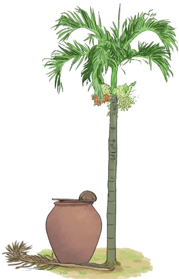 Ôn tập và đánh giá cuối học kì 2 - Đề tham khảo