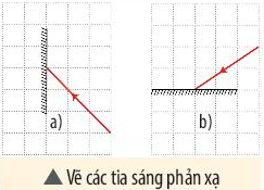 Vẽ các tia sáng phản xạ