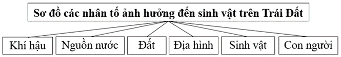 Giải Địa 10 Bài 15