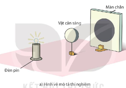 Hình 15.8.a SGK Khoa học tự nhiên 7 KNTT