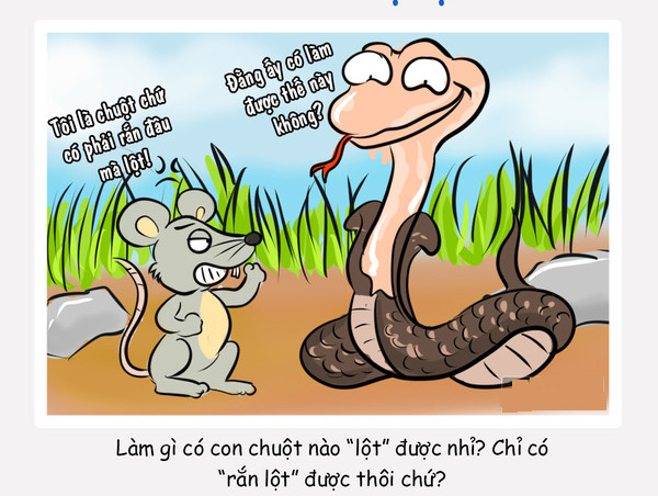 “Ướt như chuột lột”