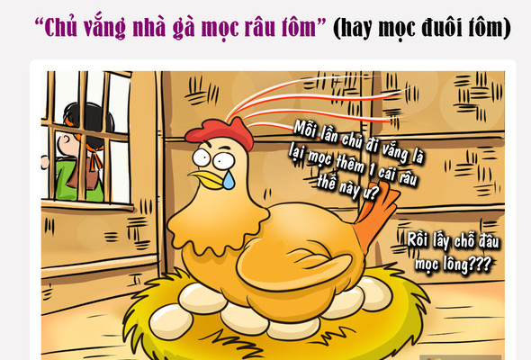 “Chủ vắng nhà gà mọc râu tôm”