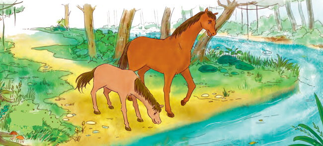 Bài 1: Cuộc chạy đua trong rừng