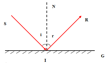 Câu 1 trang 75 KHTN 7 Cánh diều