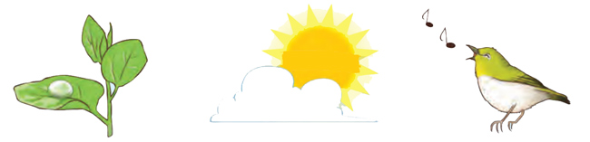 Bài 1: Giọt sương