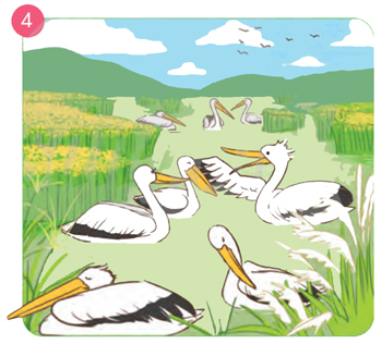 Bài 4: Mùa xuân đã về