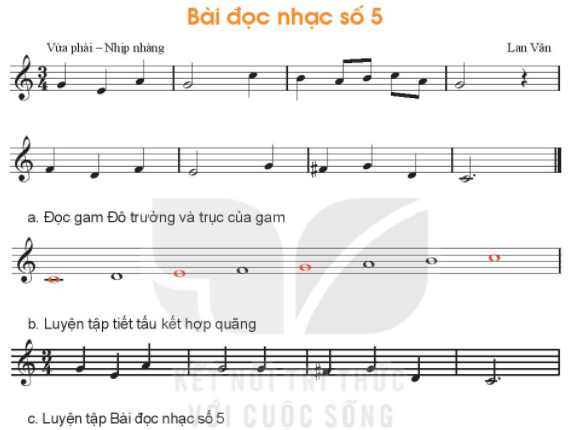Đọc nhạc: Bài đọc nhạc số 5 SGK Âm nhạc 6 - Kết nối tri thức