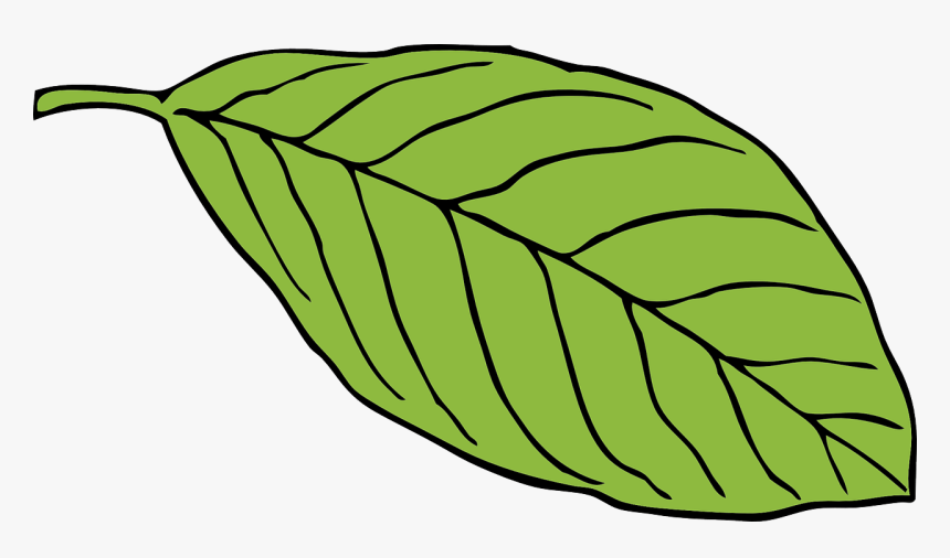 Bài tập Tiếng Anh lớp 2 Smart Start Unit Getting Started