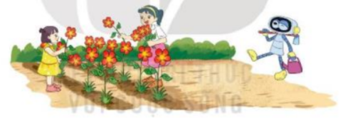 Toán lớp 3 trang 113, 114, 115 Bài 41: Ôn tập phép nhân, phép chia trong phạm vi 100, 1000 | Kết nối tri thức