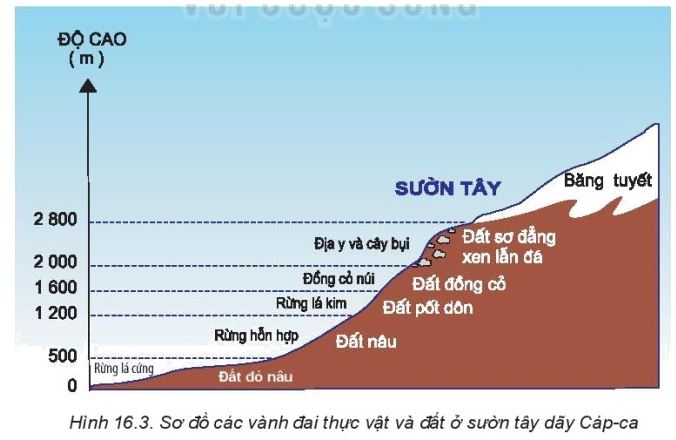 Giải Địa 10 Bài 16