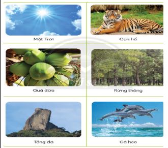 Giáo án Công nghệ lớp 3 Chân trời sáng tạo