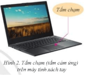 Tin học 7 Cánh diều