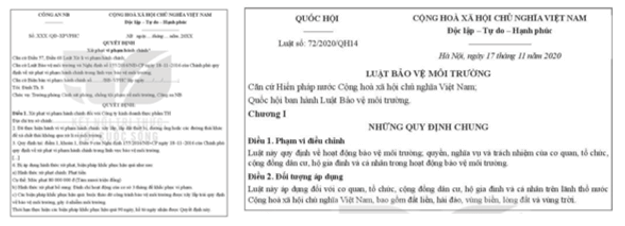 câu hỏi kinh tế và pháp luật 10