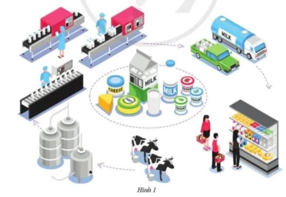 Giải Kinh tế và Pháp luật 10 Bài 7 CD