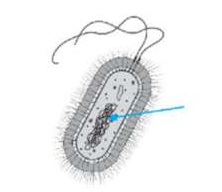 câu hỏi trắc nghiệm KHTN