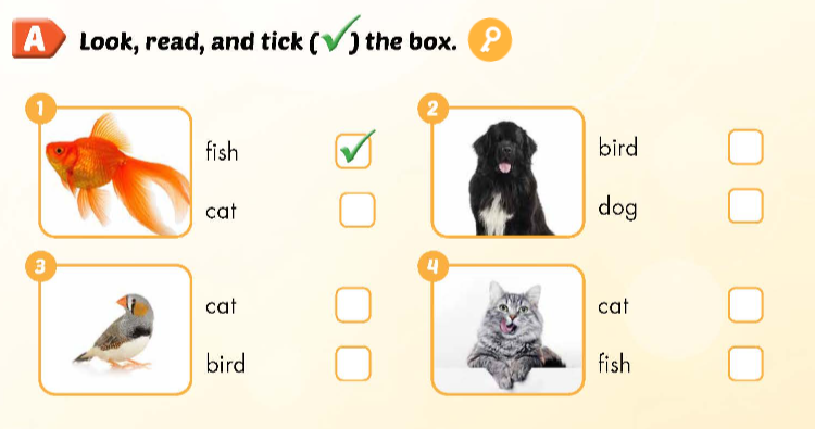 Sách bài tập Tiếng Anh 3 Smart Start Unit 2 Culture