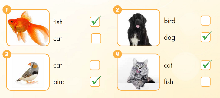 Sách bài tập Tiếng Anh 3 Smart Start Unit 2 Culture