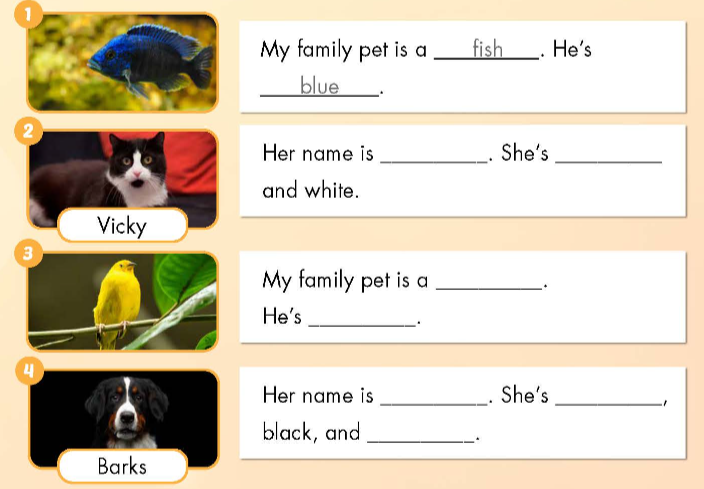 Sách bài tập Tiếng Anh 3 Smart Start Unit 2 Culture