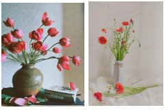 Mĩ thuật 7 Chân trời sáng tạo