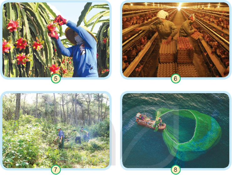 Tự nhiên xã hội lớp 3 Bài 9 trang 36, 37 Khám phá - Kết nối tri thức