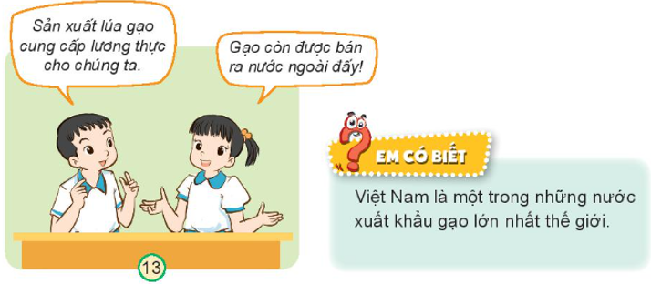Tự nhiên xã hội lớp 3 Bài 9 trang 38 Khám phá - Kết nối tri thức