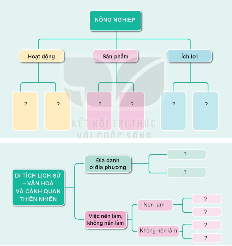 Tự nhiên xã hội lớp 3 Bài 12 trang 52, 53 Thực hành - Kết nối tri thức