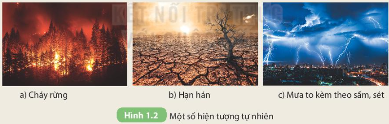 Câu 1 trang 8 KHTN 7 Kết nối tri thức