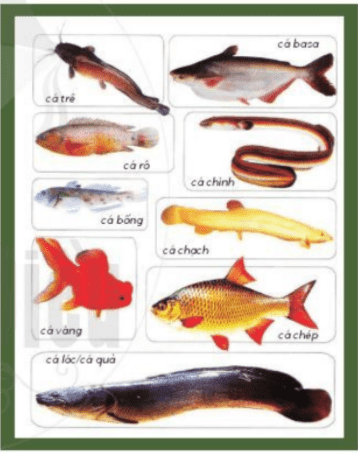 Khám phá - trang 24 SGK Mĩ thuật lớp 6 Cánh Diều