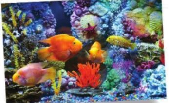 Khám phá - trang 24 SGK Mĩ thuật lớp 6 Cánh Diều