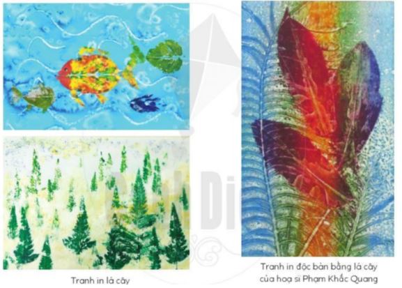 Khám phá - trang 25 SGK Mĩ thuật lớp 6 CD