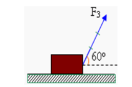 trắc nghiệm KHTN 6