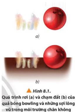 Giải Lý 10 Bài 8