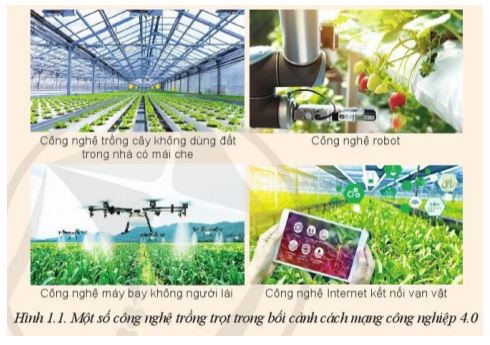 Giải Công nghệ 10 Bài 1