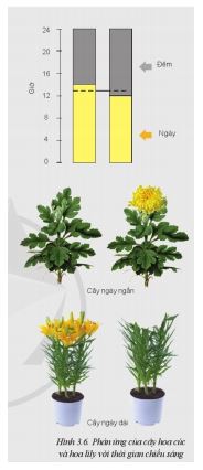 Giải Công nghệ 10 Bài 3